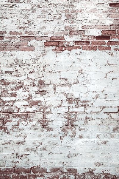 Mossholder, Tim 아티스트의 Light Brick Wall작품입니다.