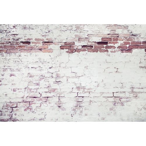 Mossholder, Tim 아티스트의 Light Brick Wall작품입니다.
