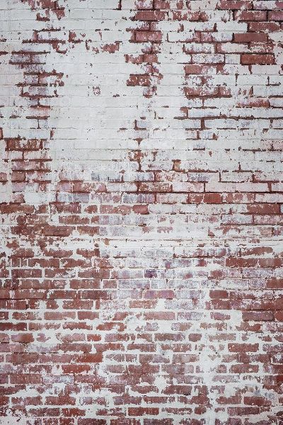 Mossholder, Tim 아티스트의 Brick Wall작품입니다.