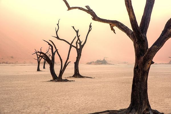 Damico, Giuseppe 아티스트의 Fog and trees in the desert작품입니다.