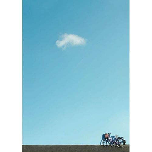 Cederberg, Marcus 아티스트의 Cloud bike작품입니다.