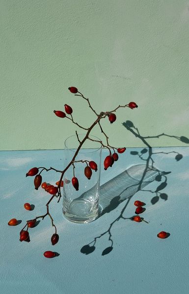 Basso, Donatella 아티스트의 Berries작품입니다.