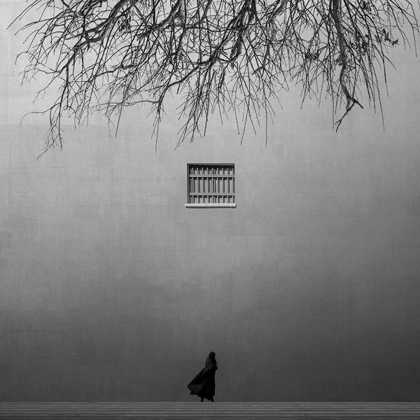 Alizolghadri93 아티스트의 Waiting for freedom작품입니다.