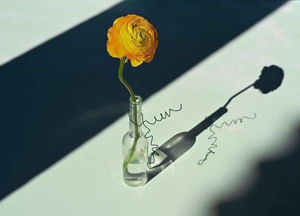 Basso, Donatella 아티스트의 Light A Shadow작품입니다.