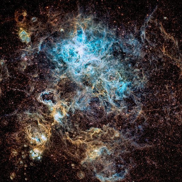 Chander, Vikas 아티스트의 Tarantula Nebula작품입니다.