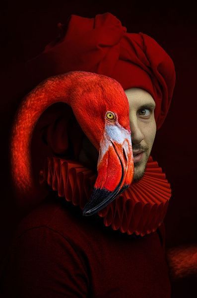 Adrian Chis, Paul 아티스트의 Red Flamingo작품입니다.