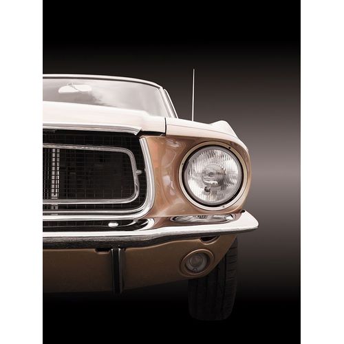 Gube, Beate 아티스트의 American classic car Mustang Coupe 1968작품입니다.
