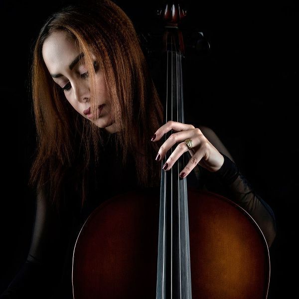 Arabzadeh, Abbas 아티스트의 Cellist작품입니다.