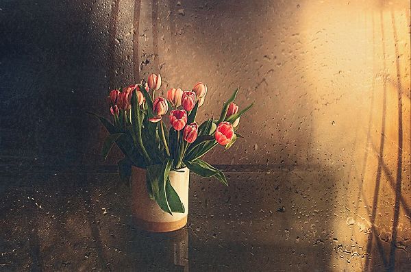 Ignatova, Desislava 아티스트의 Tulips In The Room작품입니다.