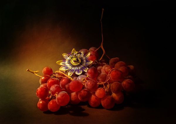 Shumilova, Ludmila 아티스트의 Red Grapes And Passion Flower작품입니다.