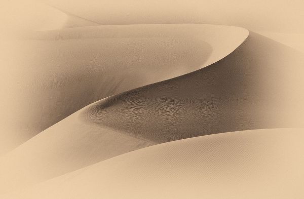 Mao, Dianne 아티스트의 Art of Sand I작품입니다.