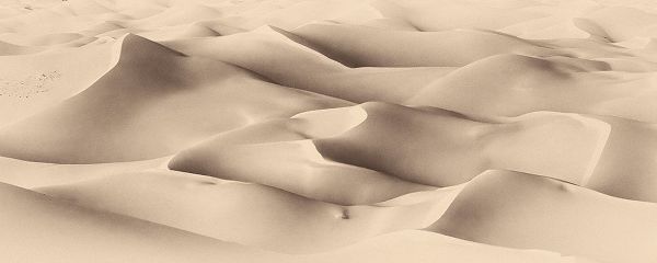 Mao, Dianne 아티스트의 Art of sand III작품입니다.