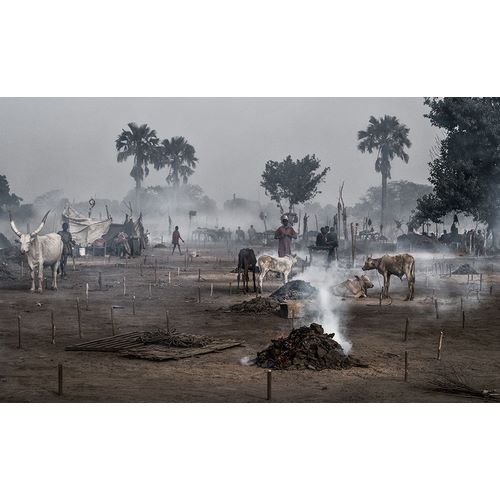 Inazio Kuesta, Joxe 아티스트의 Life In A Mundari Cattle Camp - South Sudan작품입니다.