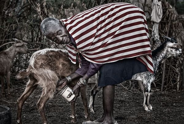 Inazio Kuesta, Joxe 아티스트의 Ilchamus Tribe Woman Milking A Goat - Kenya작품입니다.