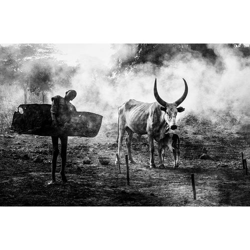 Inazio Kuesta, Joxe 아티스트의 Mundari Chlid Carrying Dung - South Sudan작품입니다.