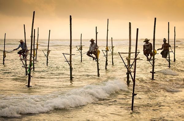 Schram, Olivier 아티스트의 Fishermen On Stilts작품입니다.