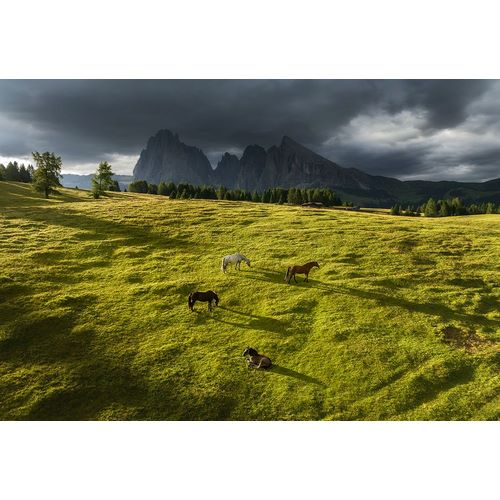 Krivec, Ales 아티스트의 Horses in the Dolomites작품입니다.