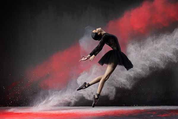 Suhardjo, Lisdiyanto 아티스트의 Ballerina Red n White작품입니다.