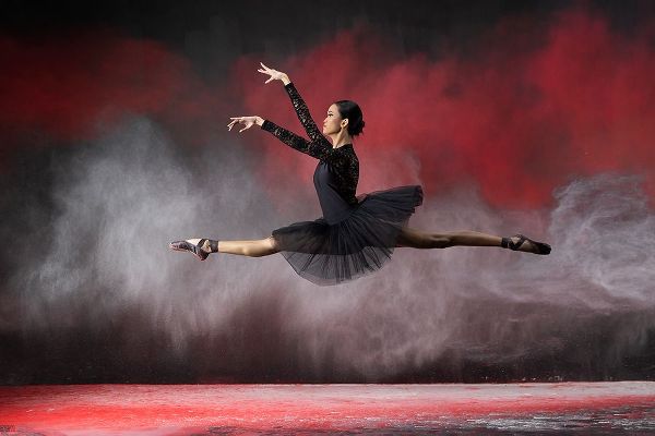 Suhardjo, Lisdiyanto 아티스트의 Ballerina Red N White작품입니다.