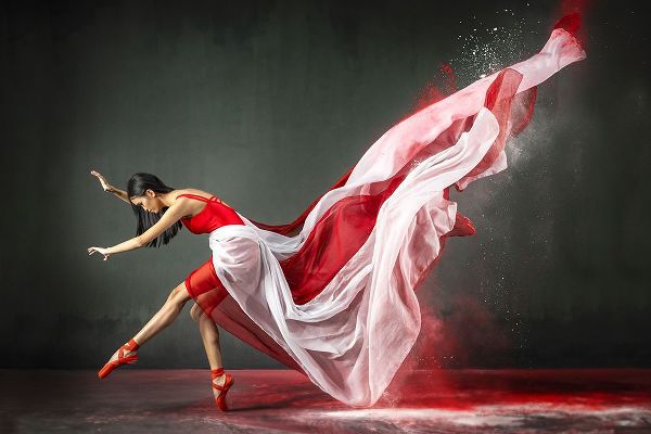 Setiadi, Ajar 아티스트의 Red And White Balerina 1작품입니다.