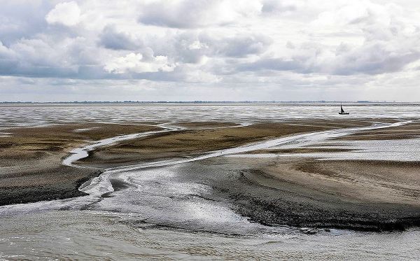 Wijers Smeets, Wilma 아티스트의 The Wadden Sea From The Island Ameland작품입니다.