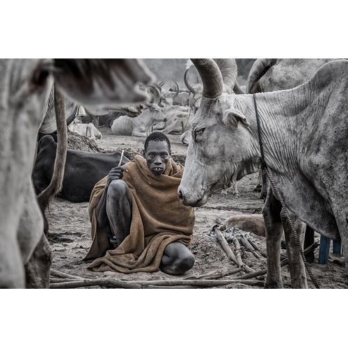 Inazio Kuesta, Joxe 아티스트의 In A Mundari Cattle Camp - South Sudan작품입니다.