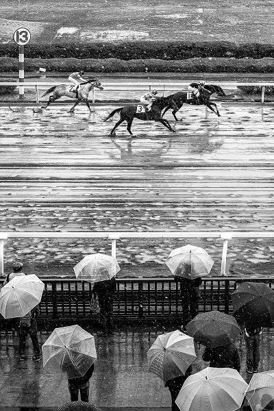 Hasegawa, Takashi 아티스트의 Urawa Horse Racing (2018)작품입니다.