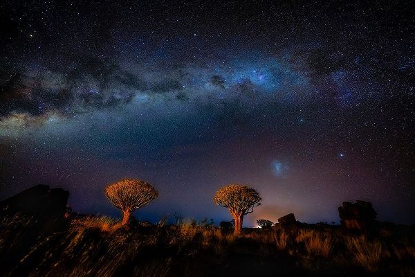 Li, Min 아티스트의 The Milky Way In Namibia작품입니다.