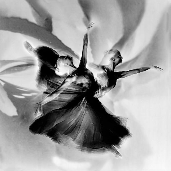 Pansky, Rachel 아티스트의 Dance In Black And White작품입니다.