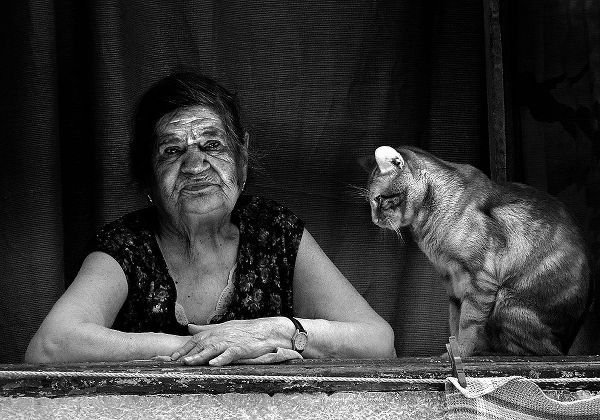 Ezequiel59 아티스트의 Lady At The Window With Her Cat작품입니다.