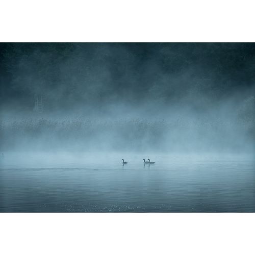 Lindsten, Christian 아티스트의 Dark And Foggy Lake작품입니다.