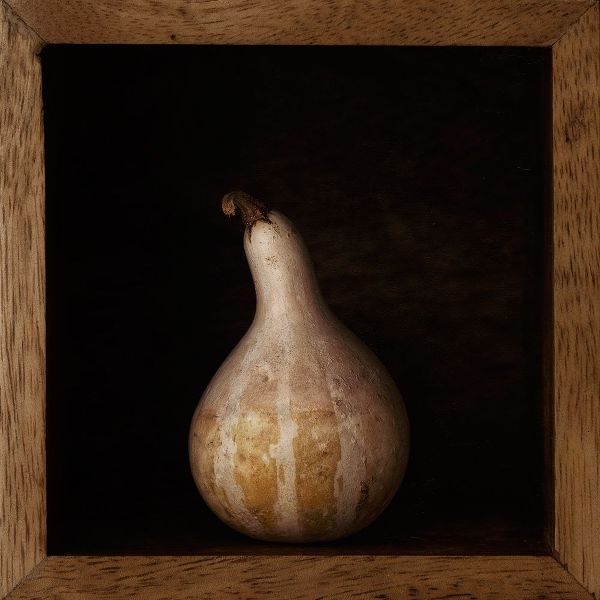 Gronkjar, Lotte 아티스트의 Gourd In A Box작품입니다.