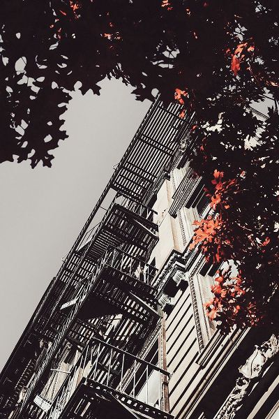 Martin, Rikard 아티스트의 New York City Autumn작품입니다.