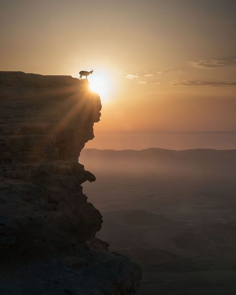 Jonas, Nadav 아티스트의 Desert Sunrise작품입니다.