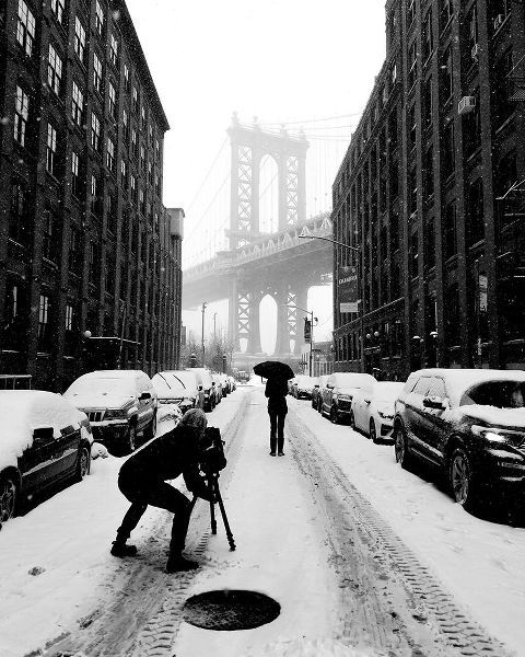 Lesica, Ivan 아티스트의 Winter in NYC작품입니다.