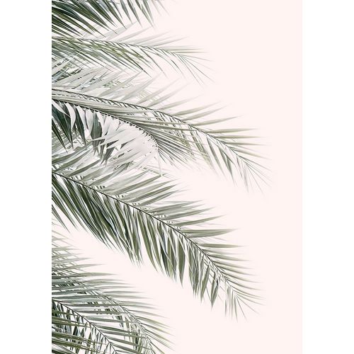 Pienaar, Kathrin 아티스트의 Blush Palm Leaves작품입니다.