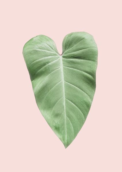 Pienaar, Kathrin 아티스트의 Tropical Leaf Blush작품입니다.