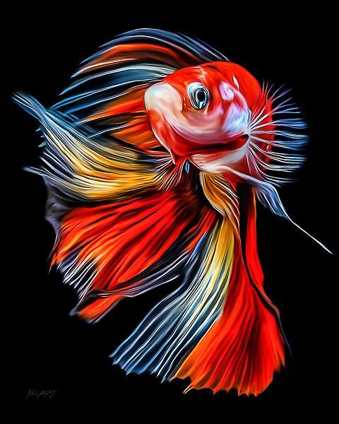 Amihere, Lord 아티스트의 Colorful Fish작품입니다.
