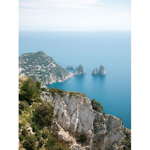 Zwart, Raisa 아티스트의 Coast of Capri Italy작품입니다.