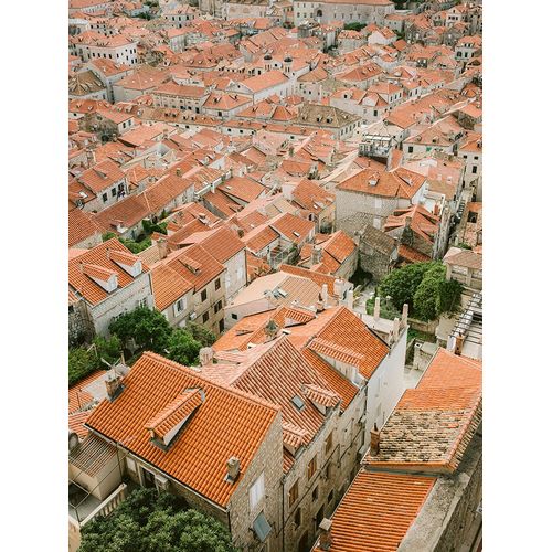 Zwart, Raisa 아티스트의 Roofs of Dubrovnik작품입니다.
