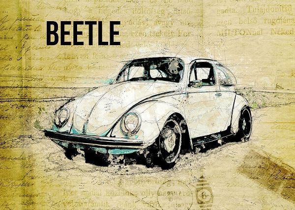 Volkswagen vw beetle
