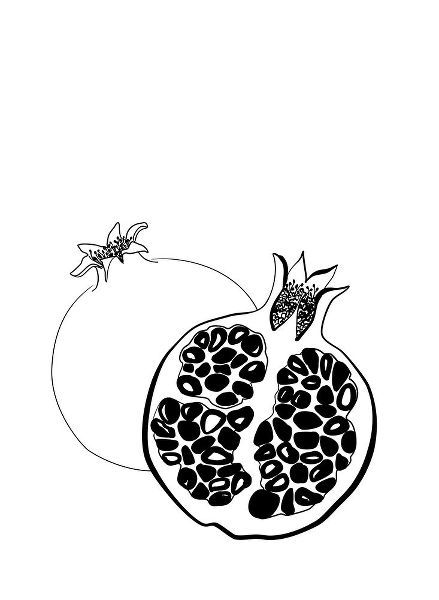 Laiz Blursbyai, Rosana 아티스트의 Line art pomegranates작품입니다.