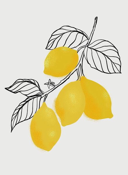 Laiz Blursbyai, Rosana 아티스트의 Lamya lemons작품입니다.