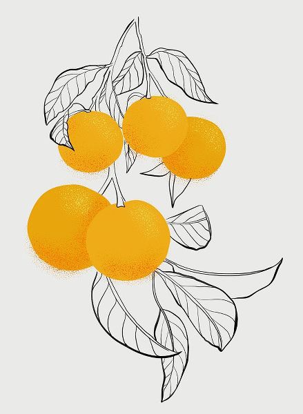 Laiz Blursbyai, Rosana 아티스트의 Mabel oranges작품입니다.