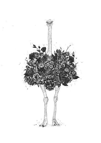 Solti, Balazs 아티스트의 Floral ostrich작품입니다.