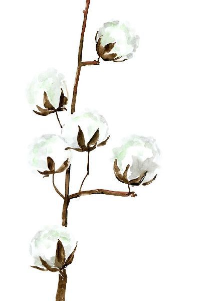 Laiz Blursbyai, Rosana 아티스트의 Watercolor cotton branch I작품입니다.