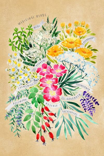 Laiz Blursbyai, Rosana 아티스트의 Medicinal herbs in vintage sepia작품입니다.