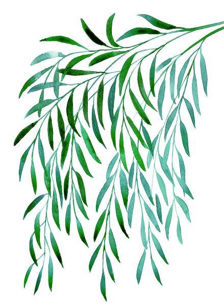 Laiz Blursbyai, Rosana 아티스트의 Cascading watercolor eucalyptus작품입니다.