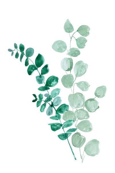 Laiz Blursbyai, Rosana 아티스트의 Two eucalyptus branches작품입니다.