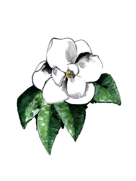 Laiz Blursbyai, Rosana 아티스트의 White magnolia작품입니다.